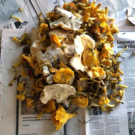 Handelsmannens Hus Ved Otnesbrygga, Valsoyfjord Otnes (Trondelag)